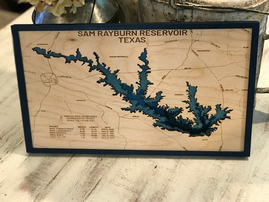 Sam Rayburn Reservoir Wood 3D Depth Map